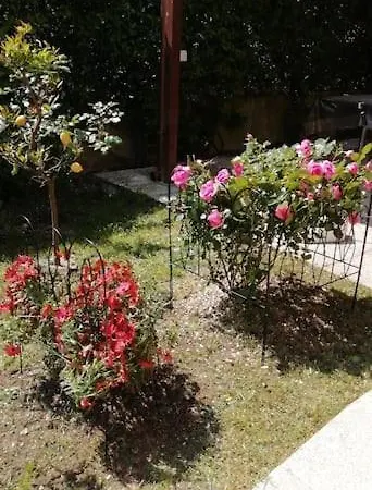 Appartamento Tra Il Borgo E Il Lago Anguillara Sabazia Exterior foto